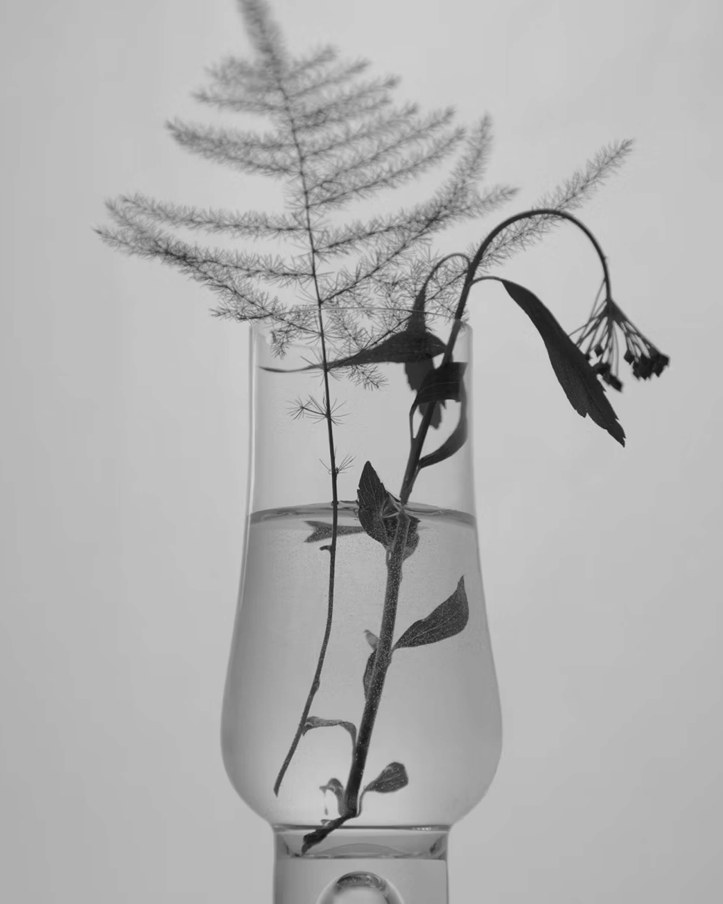 Heartleaf Niacinamide Calming Serum