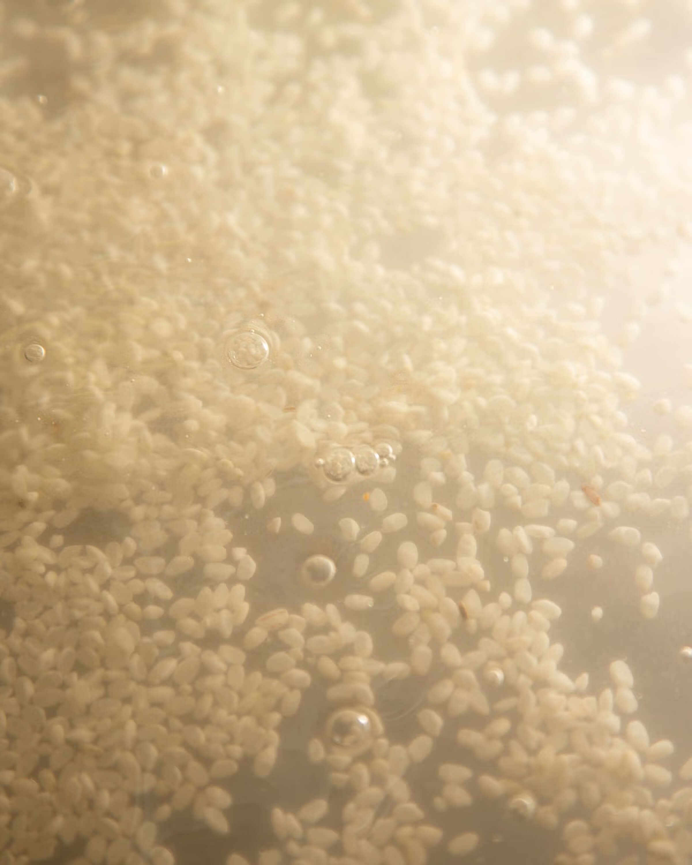 Rice Probiotics Cleansing Milk
